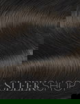 Goldwell Topchic Professional Hair Color (2.1 oz. tube)