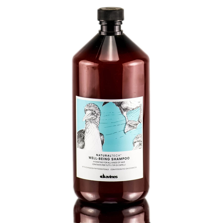 dav33-33-8-oz - Davines Naturaltech Well-Being Shampoo-image1