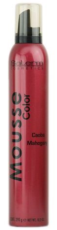 Salerm Color Mousse