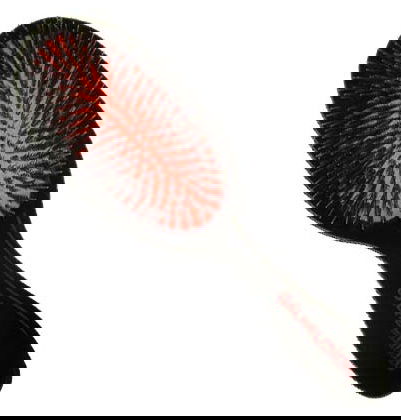 Fi Wilhelmina Boar and Nylon Hair Brushes