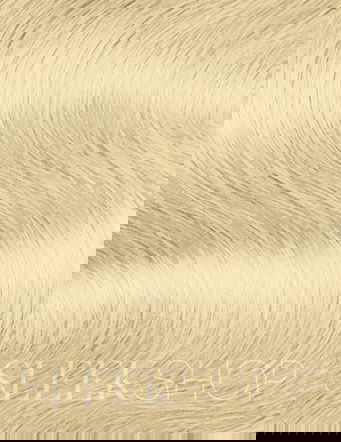 Wella Professionals Illumina Permanent Cream Hair Color Dye Wella Professionals Illumina Permanent Cream Hair Color Dye