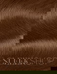 Paul Mitchell Hair Color The Color