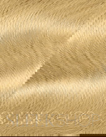 Wella Professionals Illumina Permanent Cream Hair Color Dye Wella Professionals Illumina Permanent Cream Hair Color Dye