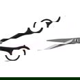 Tweezerman Professional Stainless 2000 Styling Shears Scissors