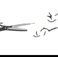 Tweezerman Professional Stainless 2000 Thinning Shears Scissors