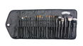 Crown Brush 23pc Professional Set w/ Case