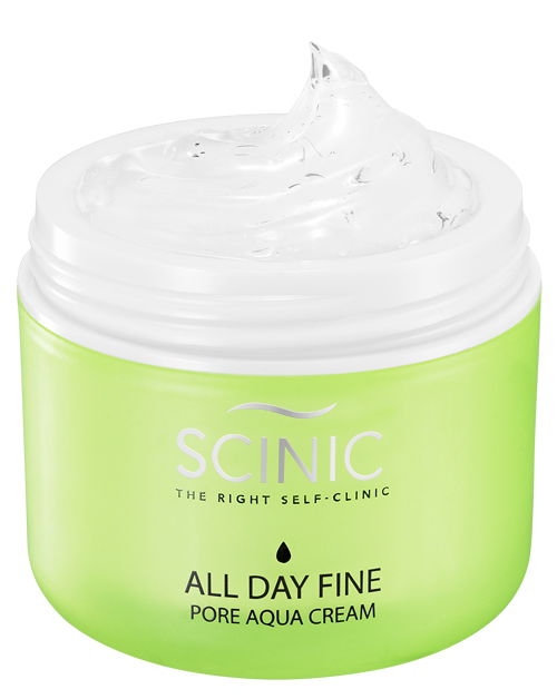 Scinic All Day Fine Pore Aqua Cream