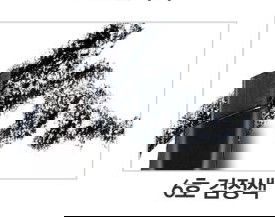 Etude House Drawing Eye Brow