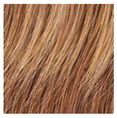 Hairdo 8pc Straight Extension Kit