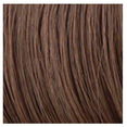 Hairdo 8pc Straight Extension Kit