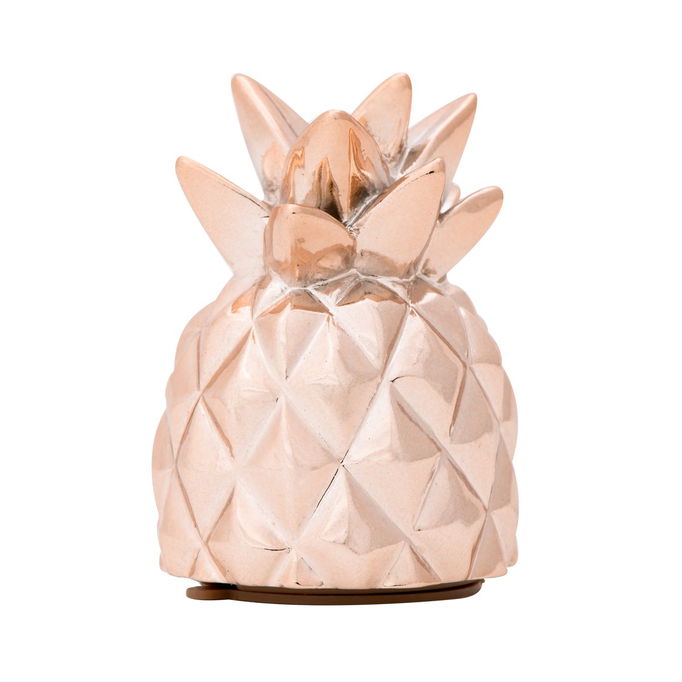 Upper Canada Pineapple Lip Gloss Upper Canada Pineapple Lip Gloss