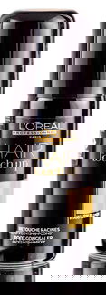 L'oreal Pro Hair Touch Up Spray