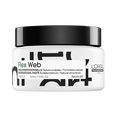 L'Oréal Professional Tecni.Art Flex Web