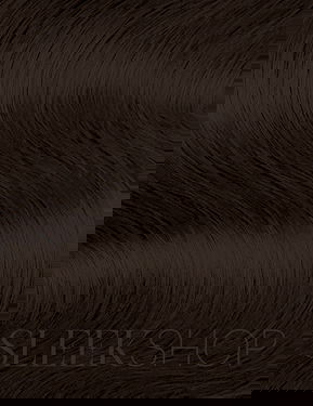 L'oreal Pro INOA Coloration Ammonia-Free Permanent Haircolor Dye L'oreal Pro INOA Coloration Ammonia-Free Permanent Haircolor Dye