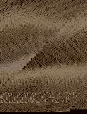 L'oreal Pro INOA Coloration Ammonia-Free Permanent Haircolor Dye L'oreal Pro INOA Coloration Ammonia-Free Permanent Haircolor Dye