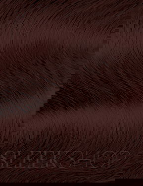 L'oreal Pro INOA Coloration Ammonia-Free Permanent Haircolor Dye