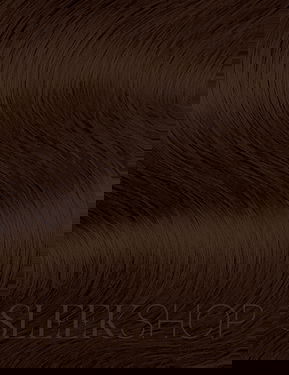 L'oreal Pro INOA Coloration Ammonia-Free Permanent Haircolor Dye