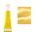 Future Yellow Future Yellow