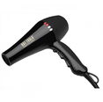 Hot Tools Black Gold Ionic AC Motor Dryer