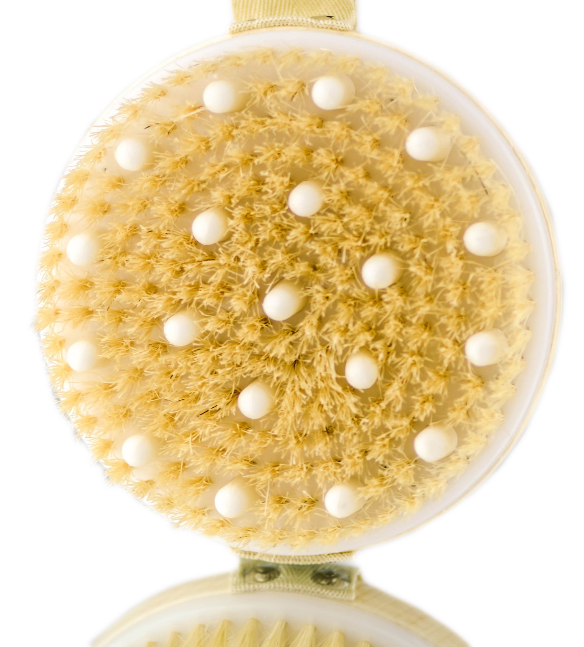 aft06-brush - Afterspa Massage & Detox Brush-image1 aft06-brush - Afterspa Massage & Detox Brush-image1