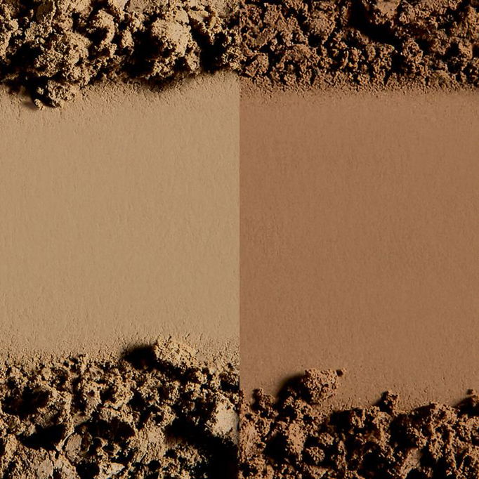 Sigma Color + Shape Brow Powder Duo