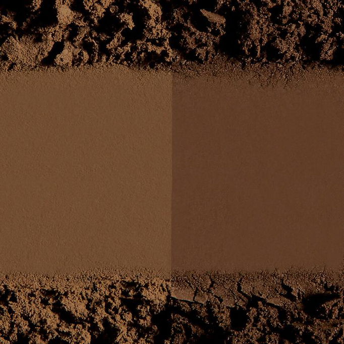 Sigma Color + Shape Brow Powder Duo