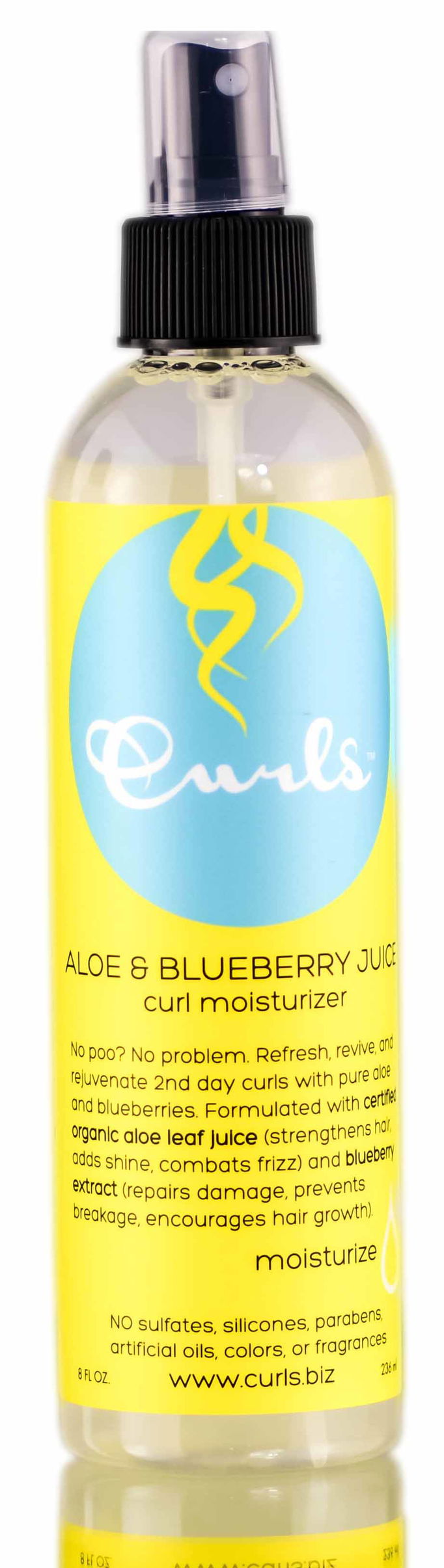 Curls Aloe & Blueberry Juice Curl Moisturizer