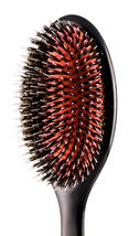Denman Porcupine Style Grooming Brush