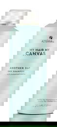 Alterna My Hair My Canvas Another Day Dry Shampoo