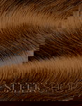 All-Nutrient Permanent Cream Haircolor  (3.5 oz)