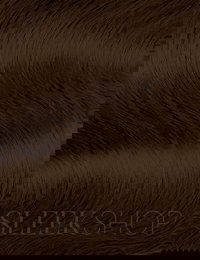 6N Dark Blonde-Neutral, Kenra Color Studio Stylist Express