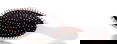 Alfaparf Milano Hair Brush