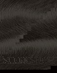Guy Tang #MyDentity Permanent Hair Color