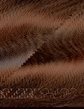 Wella Color Charm Gloss & Refresh Demi-Permanent Cream Hair Color