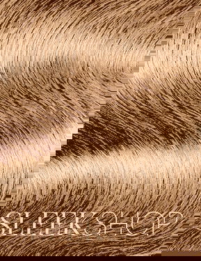 Wella Color Charm Gloss & Refresh Demi-Permanent Cream Hair Color