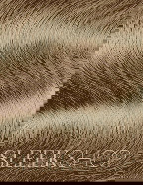 Aveda Full Spectrum Permanent Vegan Treatment Hair Color (2.8 oz)