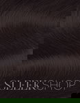 Guy Tang #MyDentity Reflect Liquid Demi-Permanent Color (2 oz)