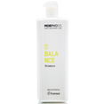Framesi Morphosis Balance Shampoo