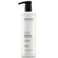 Zenagen Evolve Repair Shampoo Treatment
