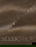 CHI Color Express Permanent Cream Hair Color (3 oz)