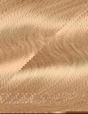 Paul Mitchell The Demi Demi-Permanent Hair Color