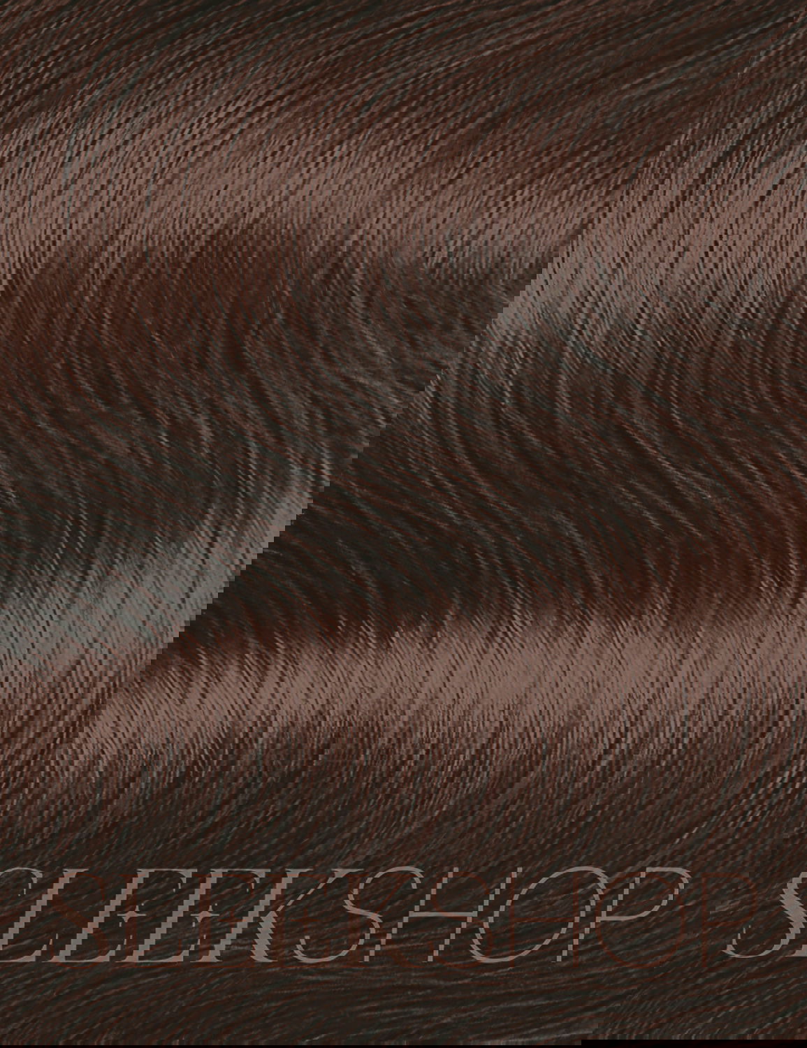 6NB - 6/07, Paul Mitchell The Color XG Permanent Hair Color (3 oz