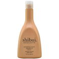 Shibui Everydayness Shampoo