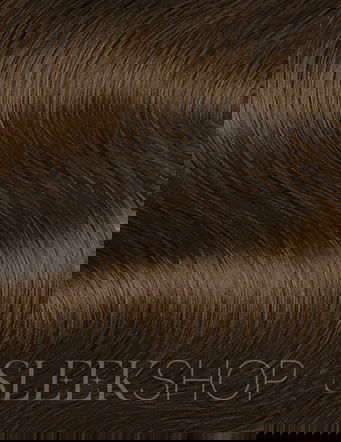 L'Oreal Professionnel Paris Dia Color Alkaline Demi-Permanent Gloss Color