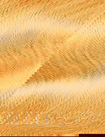 Matrix Super Sync No Ammonia Glossing Alkaline Demi-Permanent Hair Color