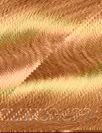 Wella Shinefinity Zero Lift Glaze (2 oz) Demi-Permanent Hair Color