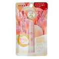 Hada Labo Rohto Melty Cream Lip Extra Moisturizing Lip Balm Hada Labo Rohto Melty Cream Lip Extra Moisturizing Lip Balm