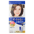 Dariya Salon De Pro Unscented Gray Hair Quick Color Cream