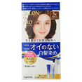 Dariya Salon De Pro Unscented Gray Hair Quick Color Cream Dariya Salon De Pro Unscented Gray Hair Quick Color Cream