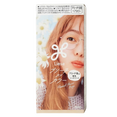 Kao Liese Creamy Bubble Hair Color Restorer